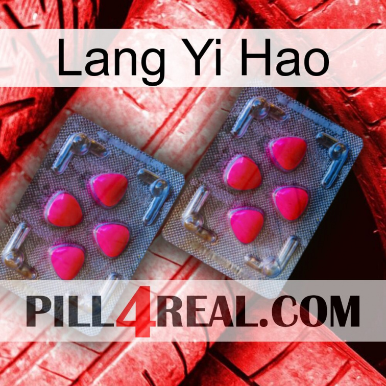 Lang Yi Hao 14